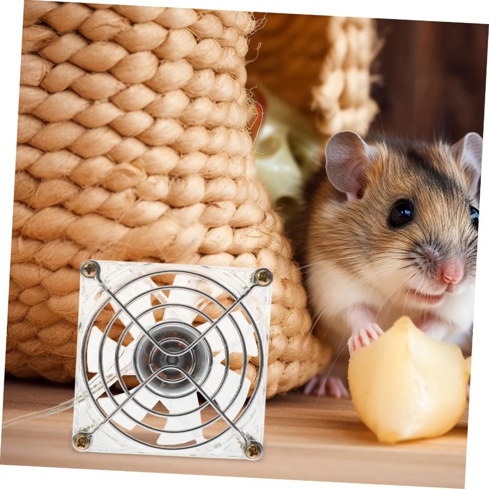 Usb Fan Silent - Mini Acrylic Hamster Cooling Fan Heat