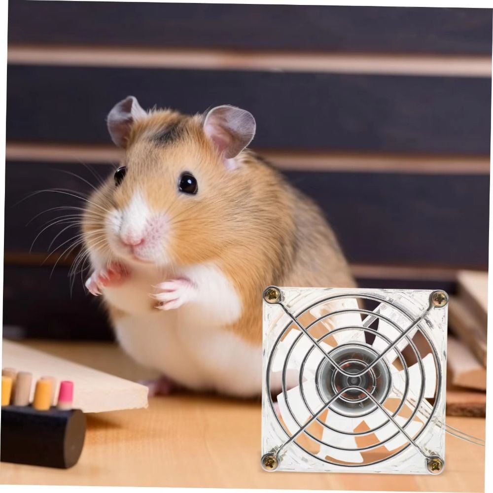 Mini Acrylic Hamster Cooling F - Usb Fan Silent 评论和价格