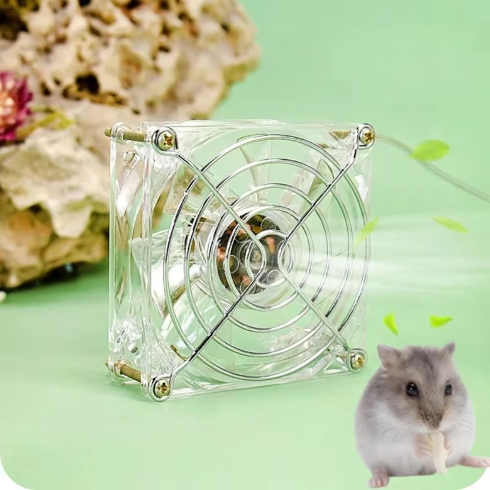Mini Acrylic Hamster Cooling F - Usb Fan Silent 评论和价格